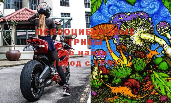 герыч Алзамай