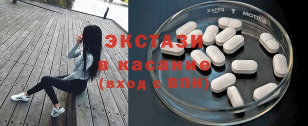 твердый Дмитровск